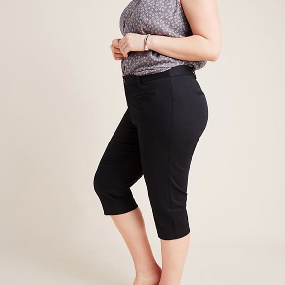 NWT anthro skinny pedal pusher pants - Picture 4 of 6